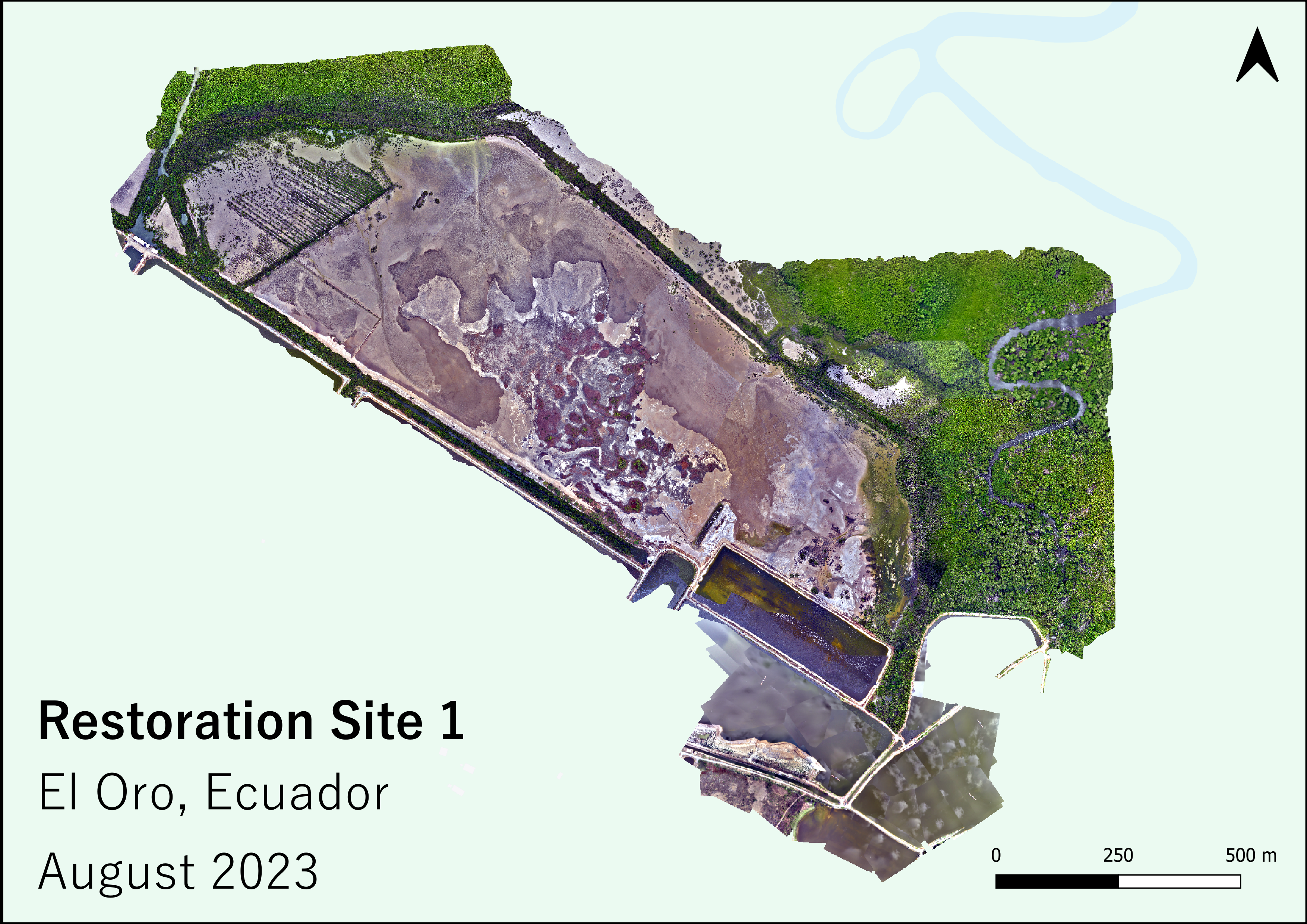 Drone map of Arenillas restoration site, 2023